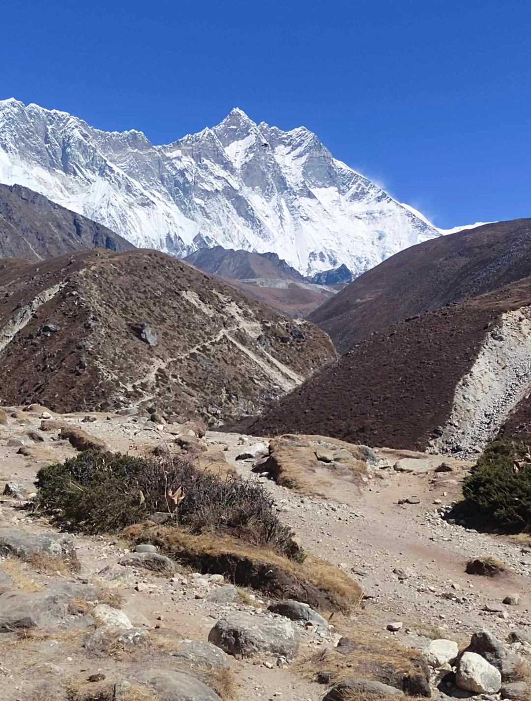 Bigyankhabar